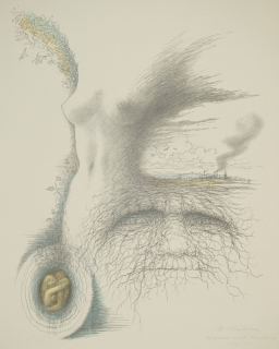 Werden und Vergehen (Maletzke Helmut)