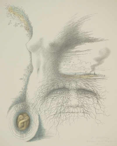 Werden und Vergehen (Maletzke Helmut)