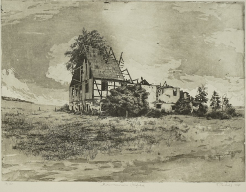 Bauernhausruine Voigtsdorf (Reichelt Hans-Jürgen)