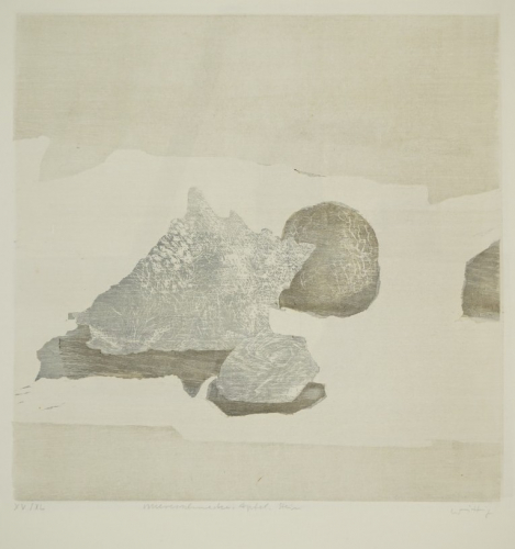 Meeresschnecke, Apfel, Stein (Wittig Werner)