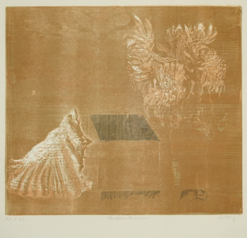 Chrysanthemen (Wittig Werner)