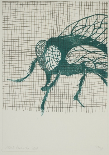 o.T. (Insekt) (Brandt Axel)