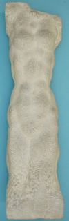 Weiblicher Torso (Förster Wieland)