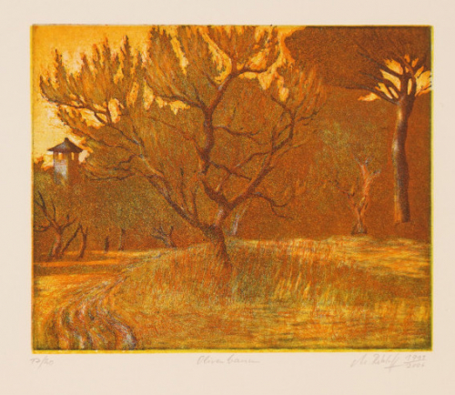 Olivenbaum (Retzlaff Markus)