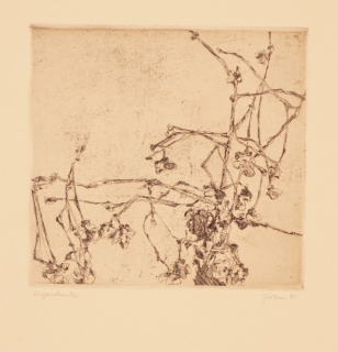 o.T. (Kräuter) (Perthen Christine)