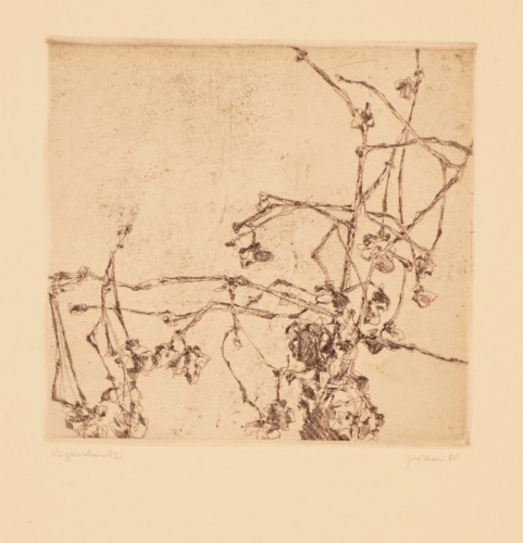 o.T. (Kräuter) (Perthen Christine)