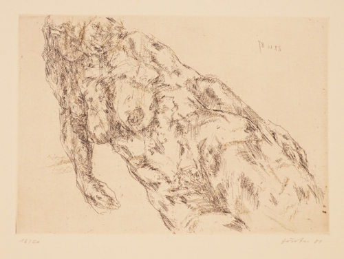 Liegende mit aufgestütztem Arm (Förster Wieland)