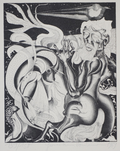 Der Zentaur Ozean (Naumann Hermann)