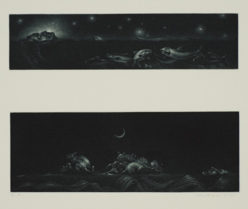 o.T. (ORLANDO (Karla Neumeyer))