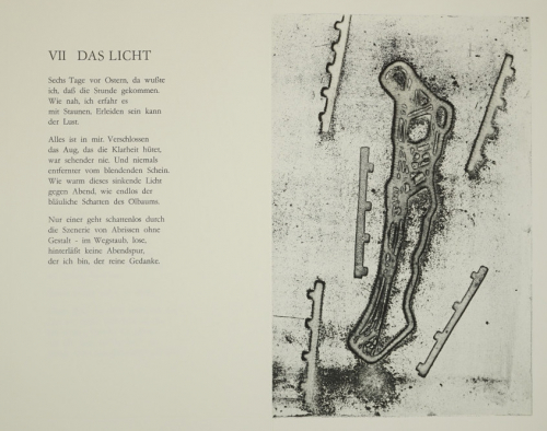 Bl.8 o.T. Das Licht (Morgner Michael)