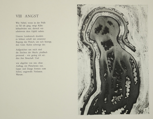 Bl.9 o.T. Angst (Morgner Michael)