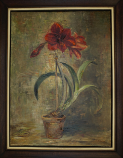 Amaryllis (Wollheim Gert Heinrich)