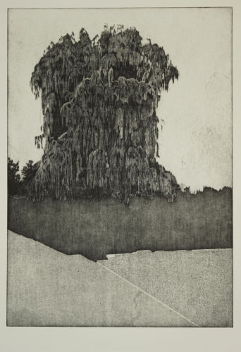 o.T. (Weidenbaum) (Ludwig Julia)