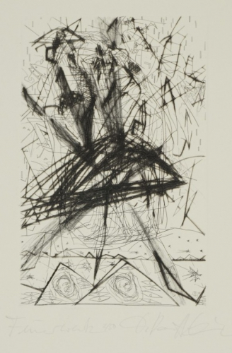 Feuerwerk (Ranft-Schinke Dagmar)