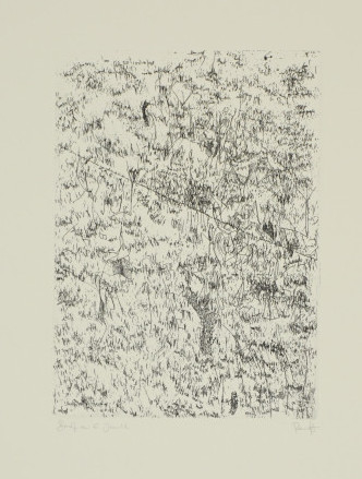 Brief an E. Jandl (Ranft Thomas)