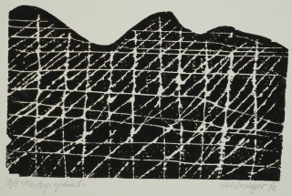 Kartographiert (Schlesinger Gil)