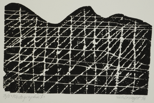 Kartographiert (Schlesinger Gil)