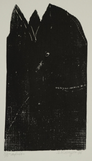 Aufsicht (Schlesinger Gil)
