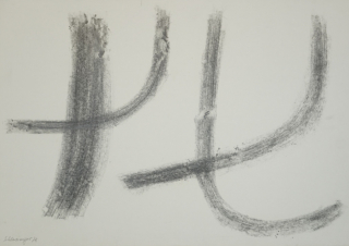 o.T. (Schlesinger Gil)