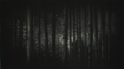 Harzwald II (ORLANDO (Karla Neumeyer))