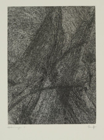 Strömung I (Ranft Thomas)