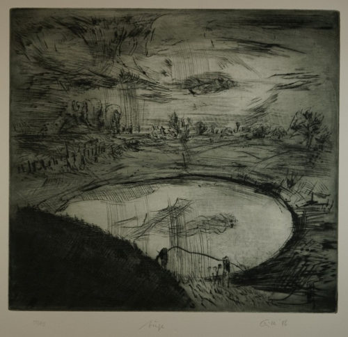 Bl.6  Auge (Gille Sighard)