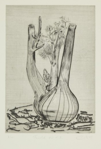 Fenchel für KK (Gille Sighard)