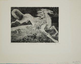 Untergang - Tiere und Menschen (Grundig Hans)