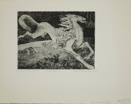Untergang - Tiere und Menschen (Grundig Hans)