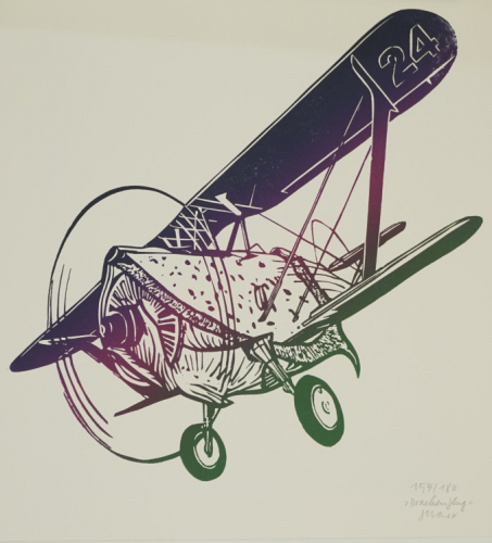 Drachenflug (Marx Stephanie)
