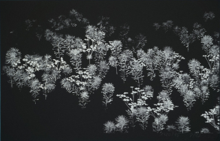 o.T. Bl.4 (Müller-Eibenstock Otto)