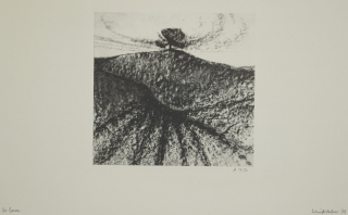 Der Baum (Schieferdecker Jürgen)