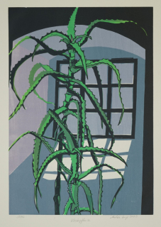 Klosterpflanze (Februar) (Lange Andrea)