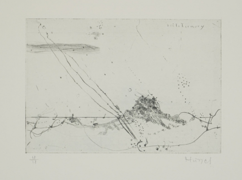 Bl.2 (Hussel Horst)