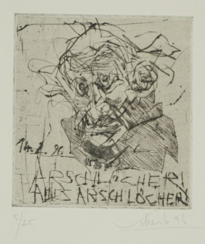 Arschlöcher alles Arschlöcher (Scheib Hans)