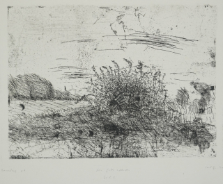 Brennesselberg (Seyfarth Conrad)