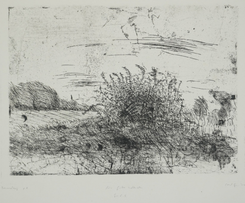 Brennesselberg (Seyfarth Conrad)