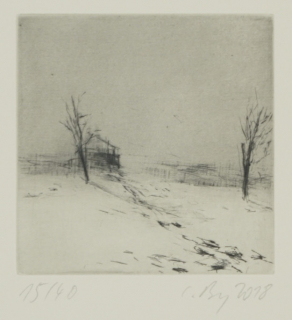 o.T. (Claudia Berg)