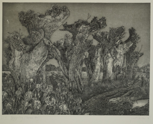 Begegnung (Bremer Iris) (Richter Gerenot)