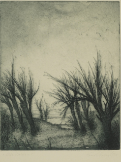 Alte Weiden (Krug Karl)