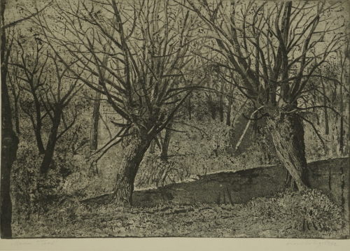Weiden/Teich (Krug Karl)