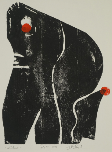 Zirkus (Suchomel Thomas)