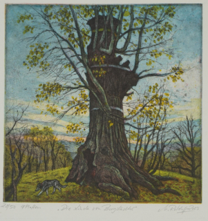 Die Linde von Burgstädtel (Retzlaff Markus)