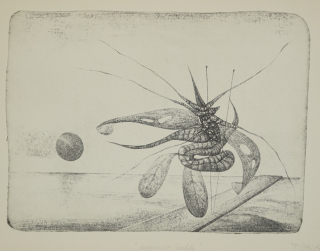 Aufgespießte Insekten (Loewig Roger)