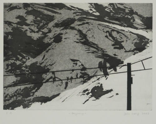 Berghang (Ludwig Julia)