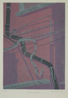 Grauwasser marsch (Haller Bettina)