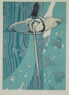 Lange Schatten ODER Klare Sicht (Lange Andrea)