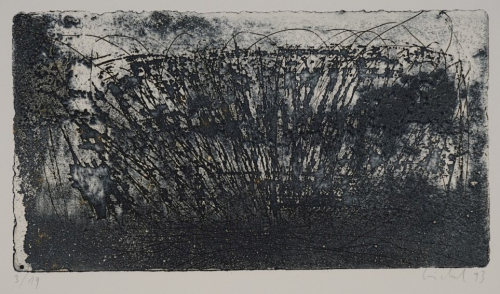 o.T. Landschaft (Göschel Eberhard)