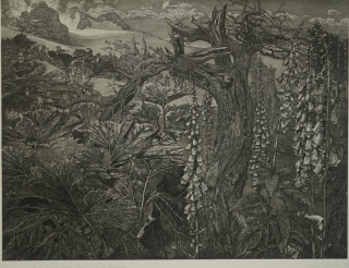 Ging heut' morgen übers Feld (Butzmann Manfred)