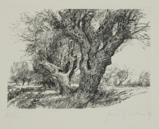 o.T. Bl.4 (Richter Gerenot)